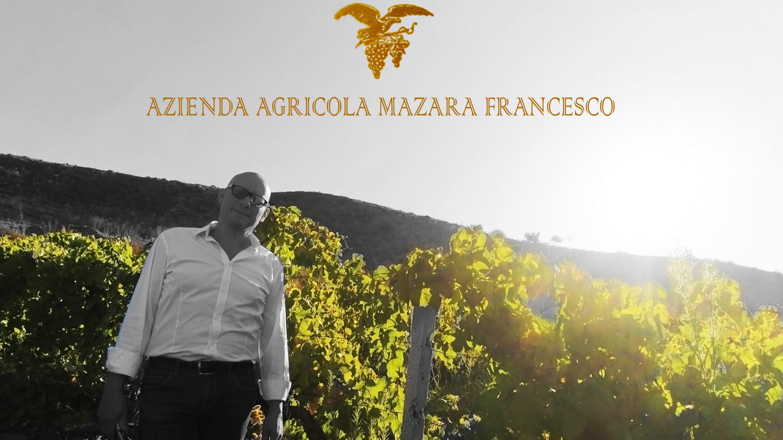 azienda-agricola-mazara-francesco-vigne (2)