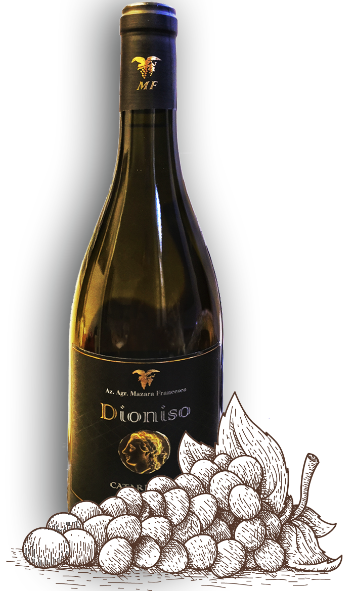dioniso-catarratto-vino-bianco-mazara-francesco-con-uva-homepage